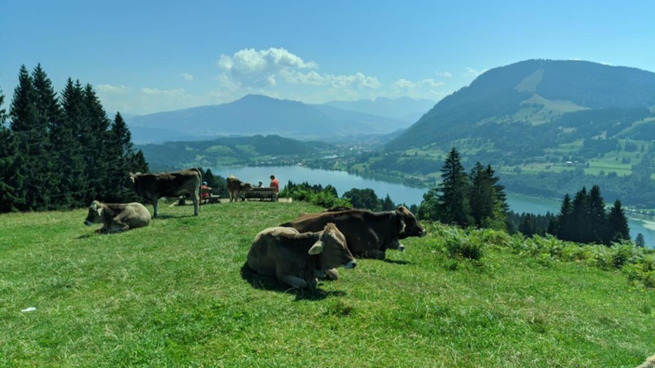 Ferienpark Oberallgau - Invest Freizeit Missen-Wilhams Eksteriør billede