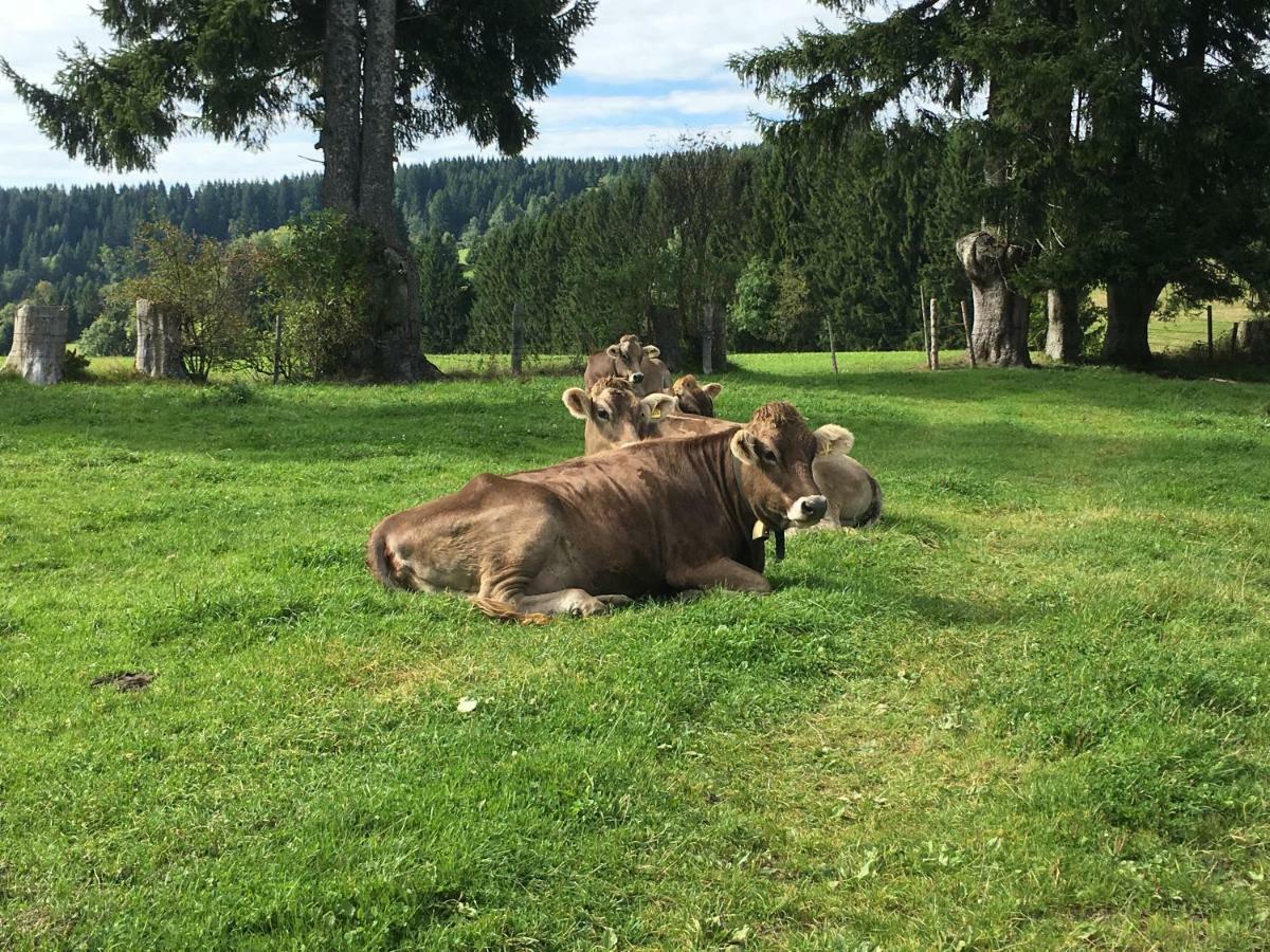 Ferienpark Oberallgau - Invest Freizeit Missen-Wilhams Eksteriør billede